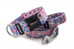 Leash Vitrage Pink with the collar