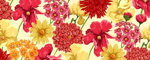 Collar Blooming Flowers - Pattern