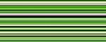 Collar Casual Green - Pattern