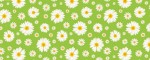 Collar Daisies - Pattern