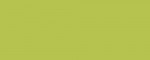 Leash Lime Green - Pattern