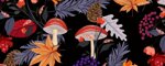 Leash Mushrooms - Pattern