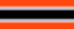Collar Reflex Neon Orange II - Pattern