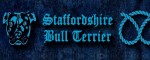Collar Staffordshire Bull Terrier Blue - Pattern