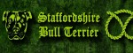 Leash Staffordshire Bull Terrier Green - Pattern