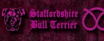 Collar Staffordshire Bull Terrier Pink - Pattern