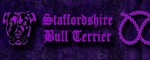 Collar Staffordshire Bull Terrier Violet - Pattern