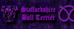 Halsband Staffordshire Bull Terrier Violet - Musteransicht