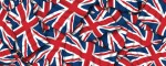 Leash Union Jack - Pattern