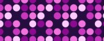 Leash Violet Dots - Pattern