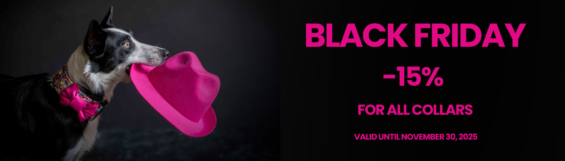 Black Friday 2025