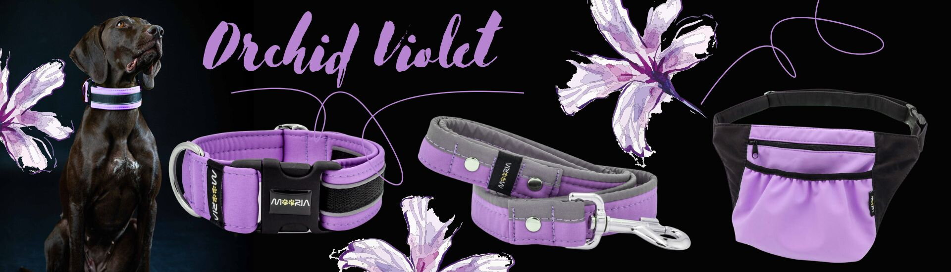 Collar Orchid Violet