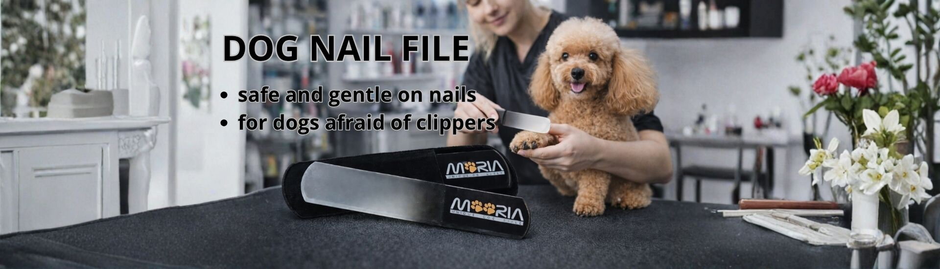 Dog nail files