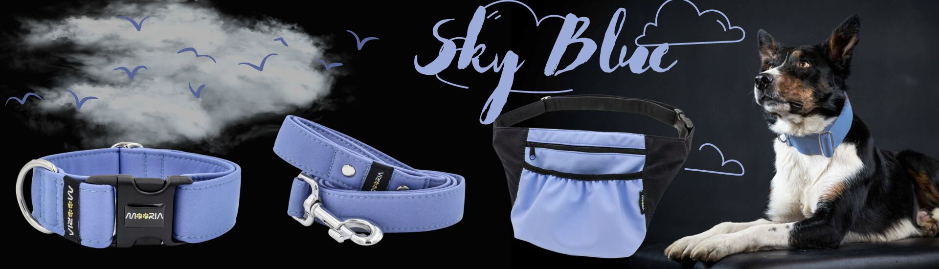 Collar Sky Blue