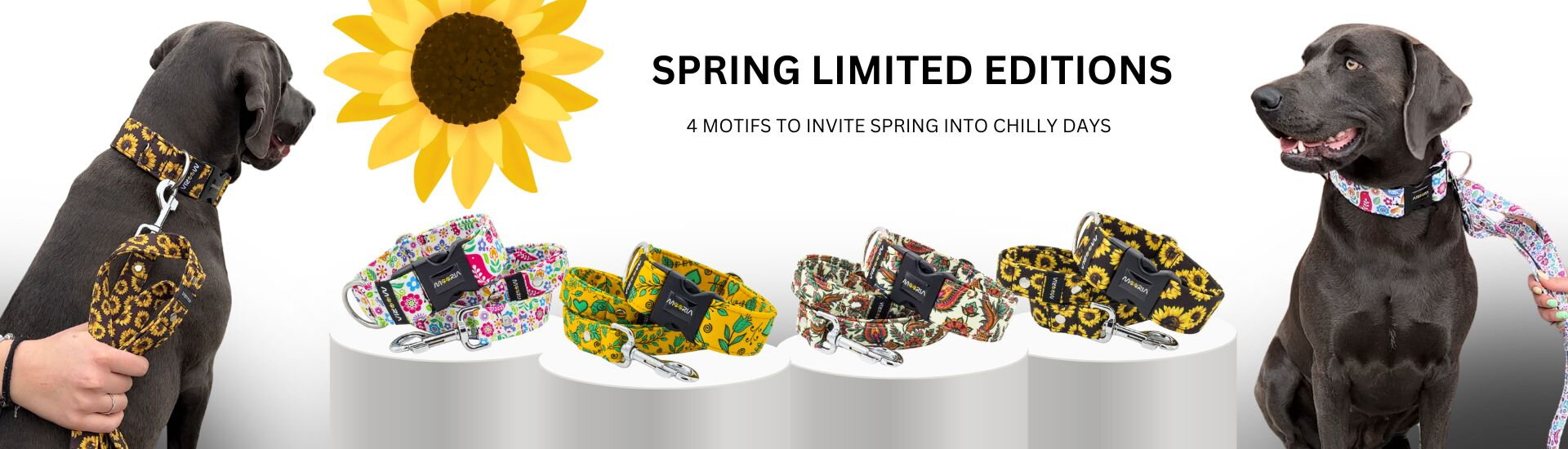 Spring Limited Editions