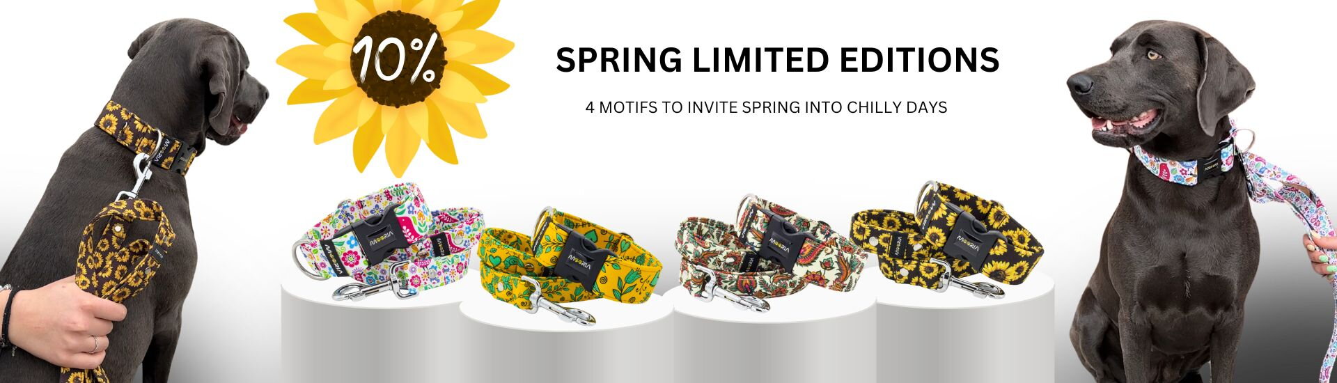 Spring Limited Editions