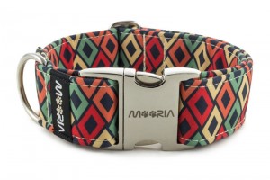 Collar with metal buckle