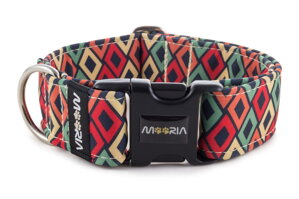 Collar with plastic buckle