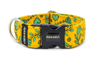 Collar Spring Chirp
