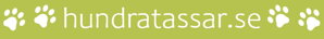 Hundratassar - white logo on GREEN