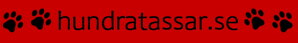 Hundratassar - black logo on YELLOW