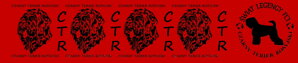 Collar  Černý teriér pl