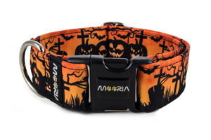 Collar Halloween
