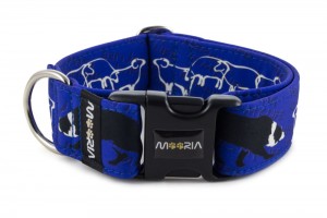 Collar Border Collie Life Blue