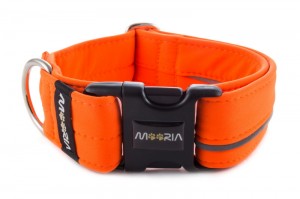 Collar Reflex Neon Orange I