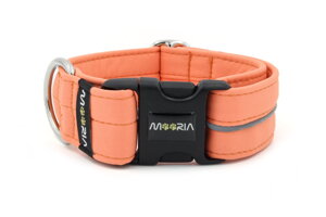 Halsband Reflex Salmon I