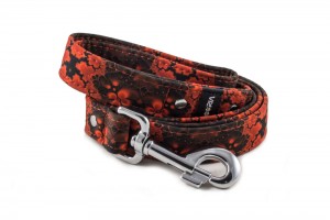 Leash Abstract Red