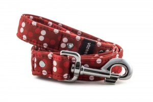 Leash Red Dots