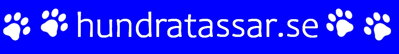 Hundratassar - white logo on BLUE