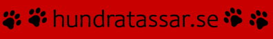 Hundratassar - black logo on RED