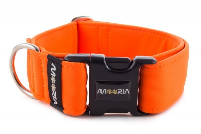 Collar Neon Orange