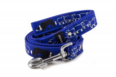 Leash Border Collie Life Blue