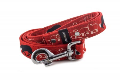 Leash Border Collie Life Red