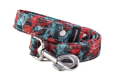 Leash Turquoise Red Mood