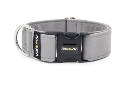 Collar with plastic buckle