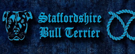 Staffordshire Bull Terrier Blue