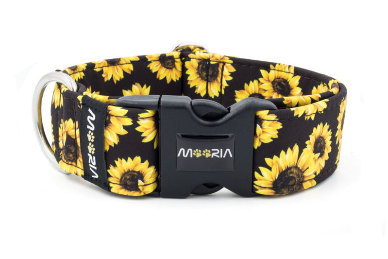 Collar Sunflower
