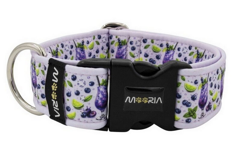 Collar Blueberry Bliss