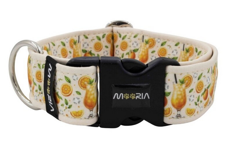 Collar Citrus Fiesta