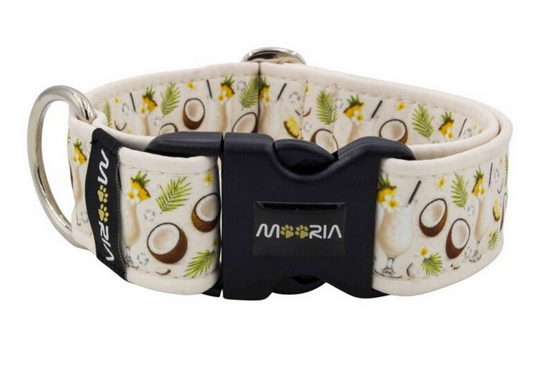 Collar Coconut Dream