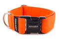 Collar Neon Orange