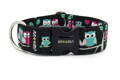 Collar Owl Love