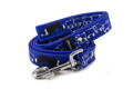 Leash Border Collie Life Blue