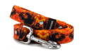 Leash Fire