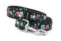 Leash Owl Love