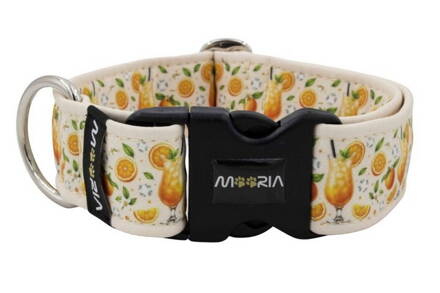 Collar Citrus Fiesta